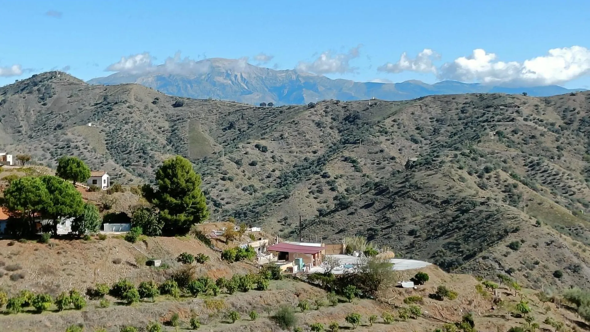Casa Del Sol - Amazing Private Villa, 20 Km From Malaga Center Moclinejo Villa