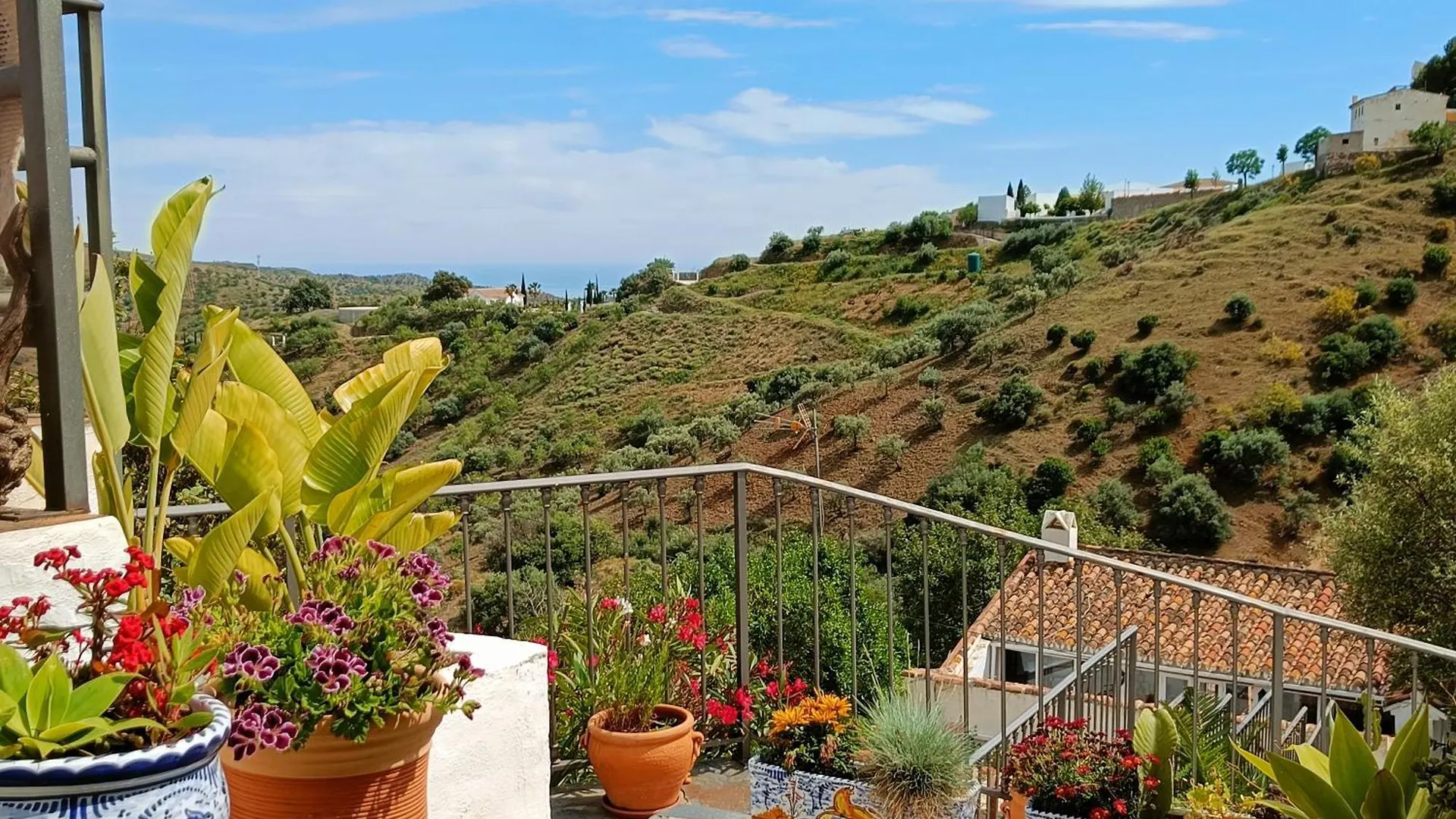 Casa Del Sol - Amazing Private Villa, 20 Km From Malaga Center Moclinejo 0*,  Spain